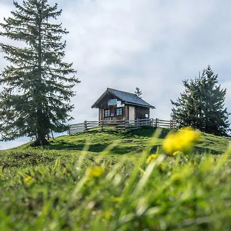 Apartment Auer *